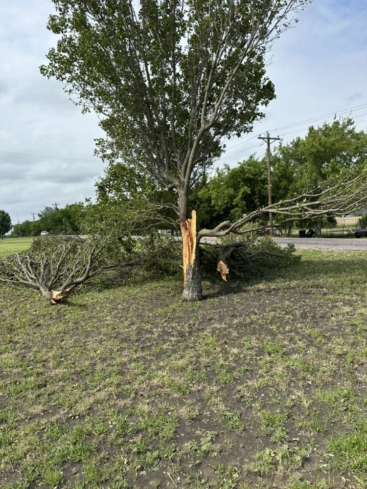Professional yard maintenance experts serving Tom Bean, TX - Trusted Quality Work