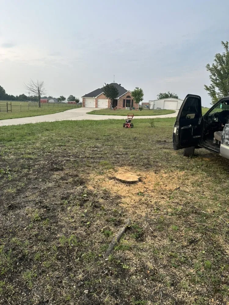 Local yard cleanup service in Tom Bean, TX - Trusted Quality Work