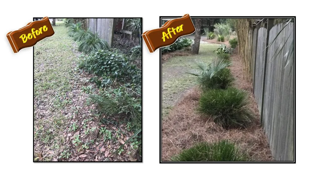 Affordable landscape design experts serving James Island, SC - Trusted Roots