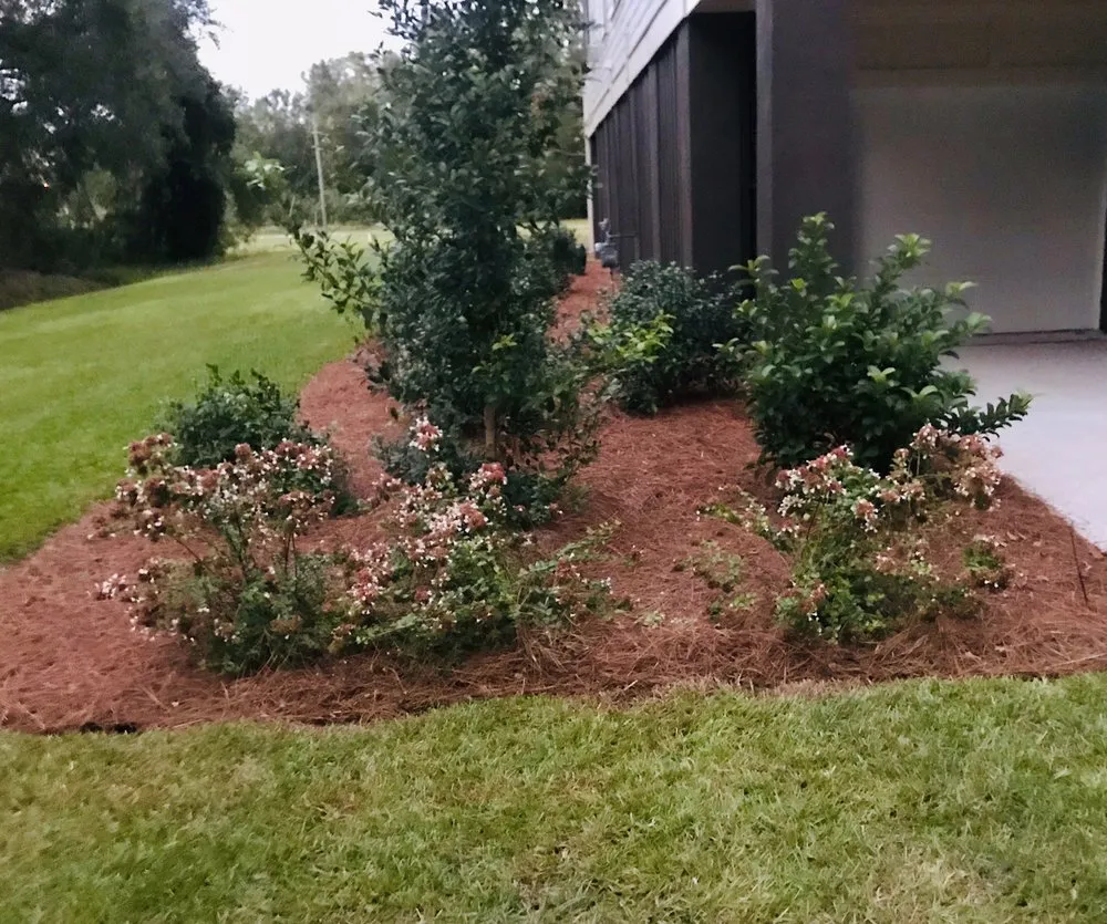 Expert lawn mowing service for homes in James Island, SC by Trusted Roots