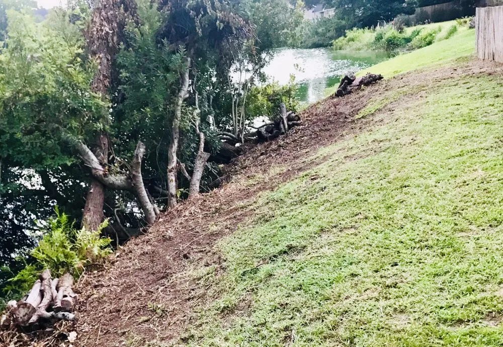 Reliable landscape installation in James Island, SC - Trusted Roots