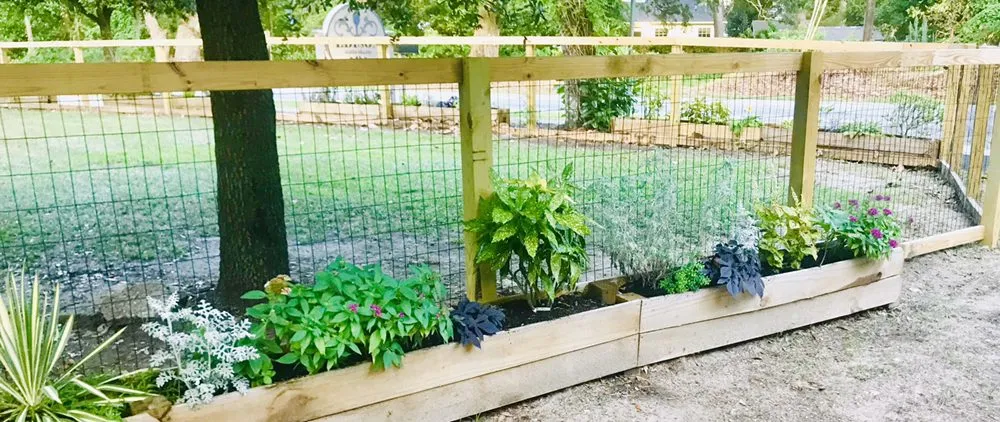 Trusted outdoor landscaping in James Island, SC - Trusted Roots