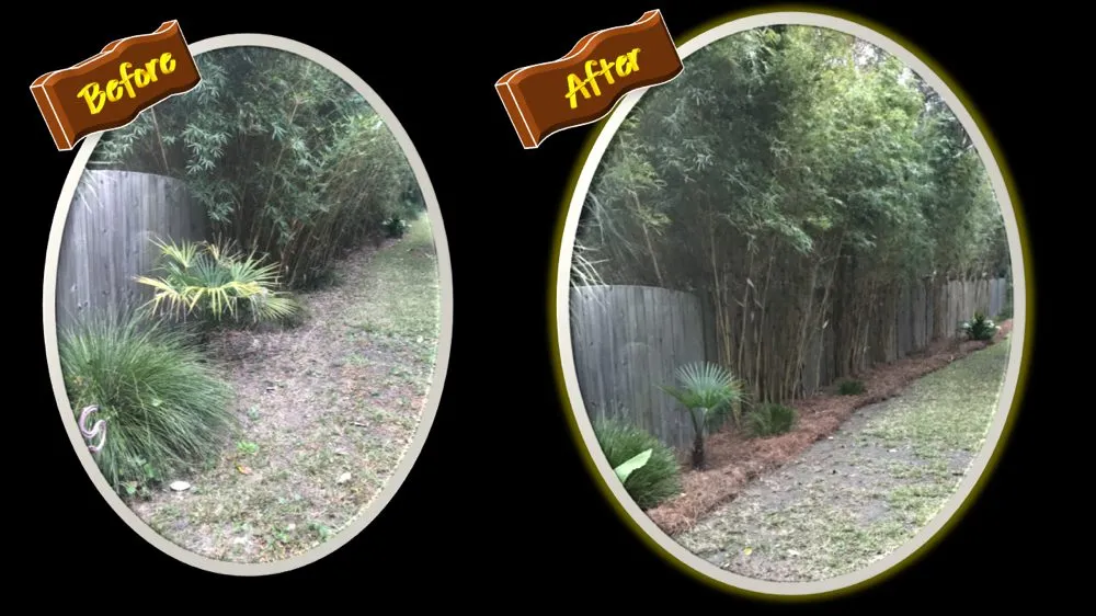 Professional yard cleanup service experts serving James Island, SC - Trusted Roots
