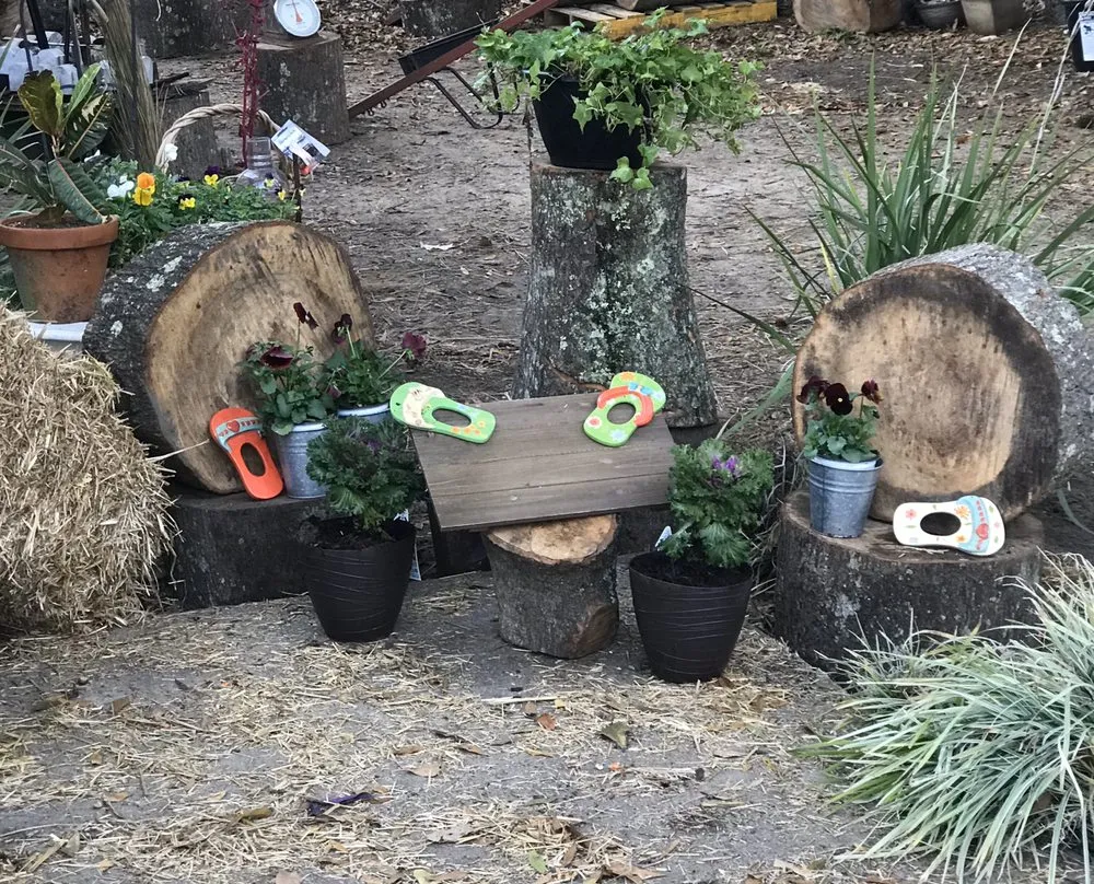 Local yard maintenance for homes across James Island, SC - Trusted Roots