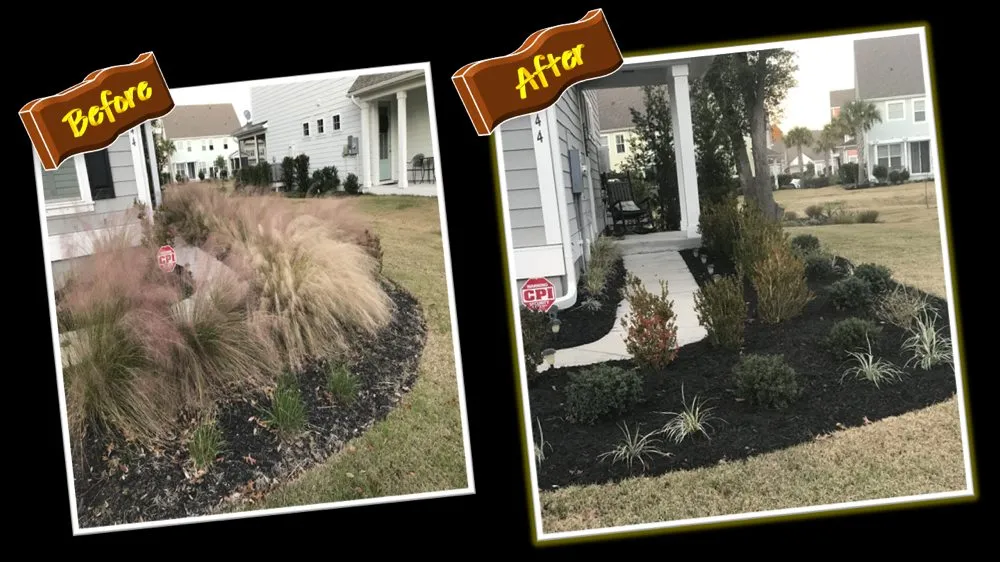 Top-rated landscape installation in James Island, SC - Trusted Roots