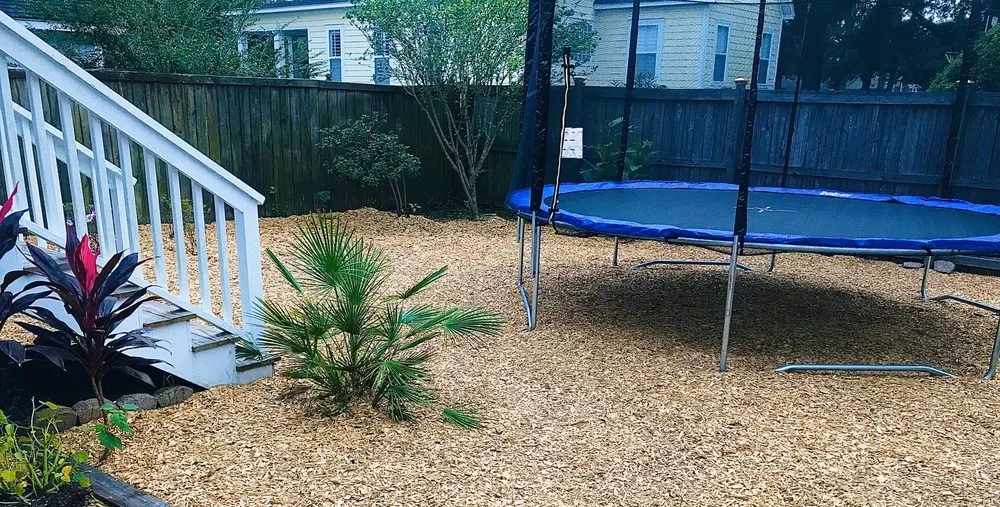 Local landscaping services experts serving James Island, SC - Trusted Roots