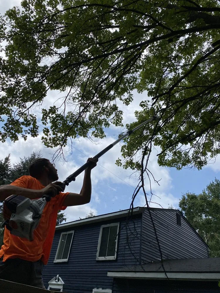 Affordable residential landscaping for homes across West Bloomfield, MI - Trusted Roots