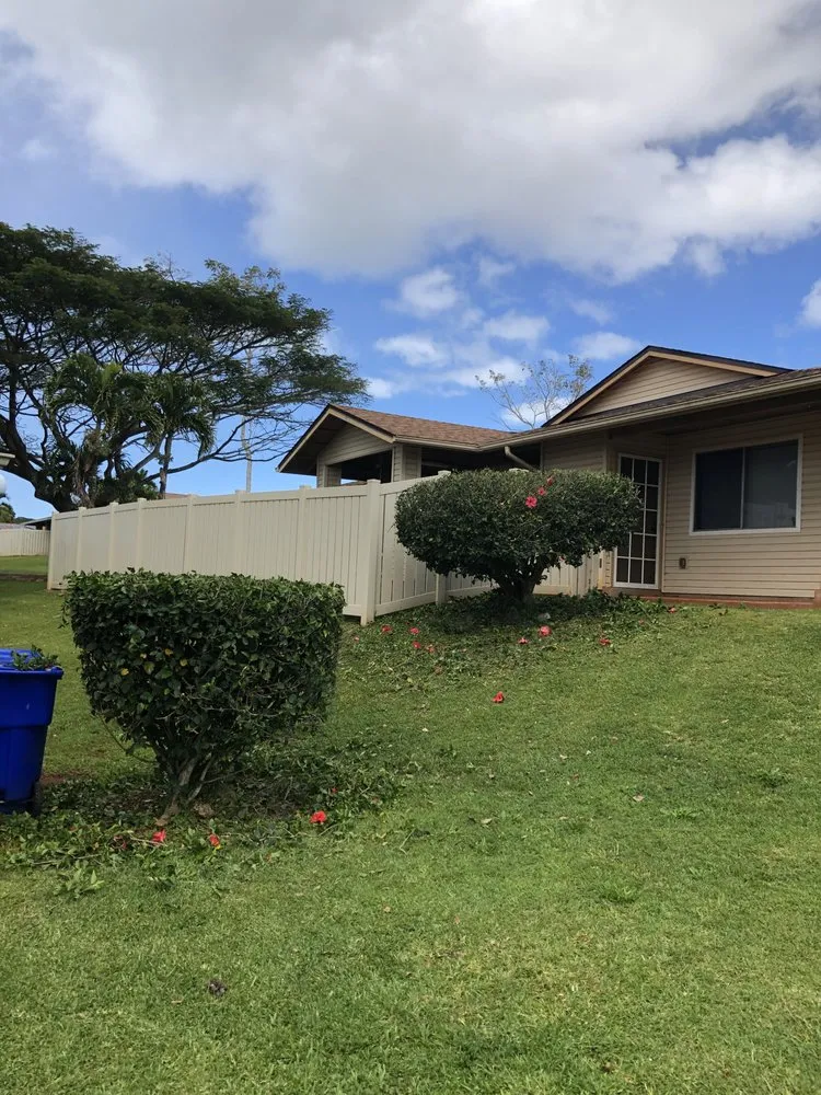 Expert yard cleanup service in Seattle, WA by Trustworthy Landscape