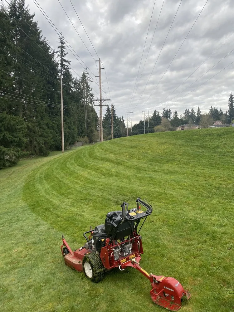 Custom garden landscaping in Seattle, WA - Trustworthy Landscape