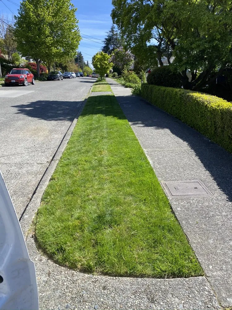 Reliable landscaping services experts serving Seattle, WA - Trustworthy Landscape