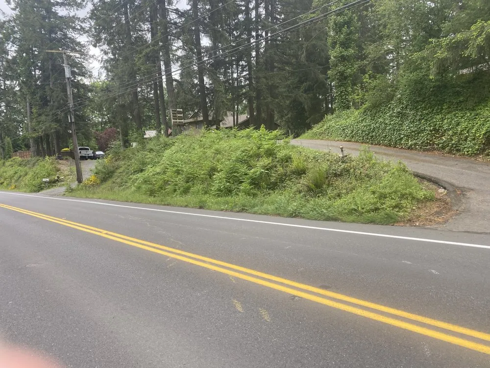 Professional landscaping services with custom design in Seattle, WA by Trustworthy Landscape