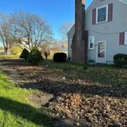 Expert yard cleanup service experts serving Flushing, MI - Trustworthy Lawn Love