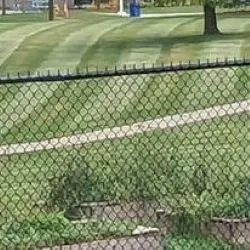 Reliable landscaping services for residential properties in Flushing, MI by Trustworthy Lawn Love