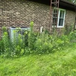 Expert residential landscaping in Flushing, MI by Trustworthy Lawn Love