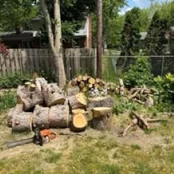 Affordable landscape installation experts serving Flushing, MI - Trustworthy Lawn Love