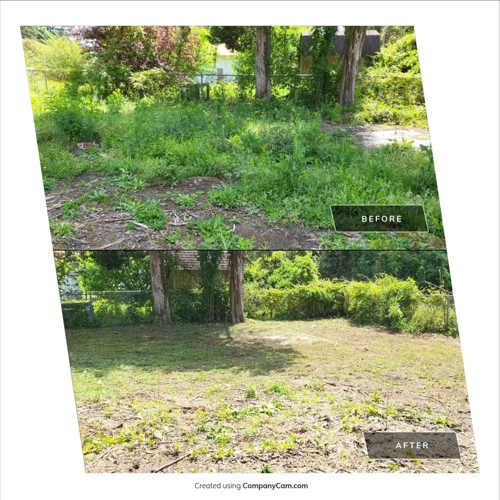 Reliable landscaping services for residential properties in Graniteville, SC by Trusty Hands