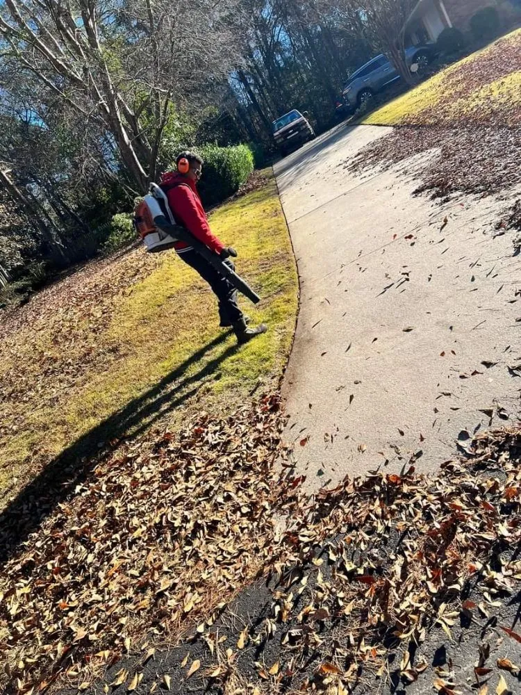 Trusted yard cleanup service in Graniteville, SC by Trusty Hands