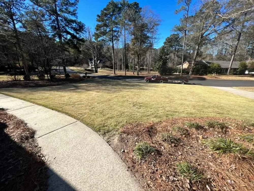 Top-rated yard cleanup service for homes across Graniteville, SC - Trusty Hands