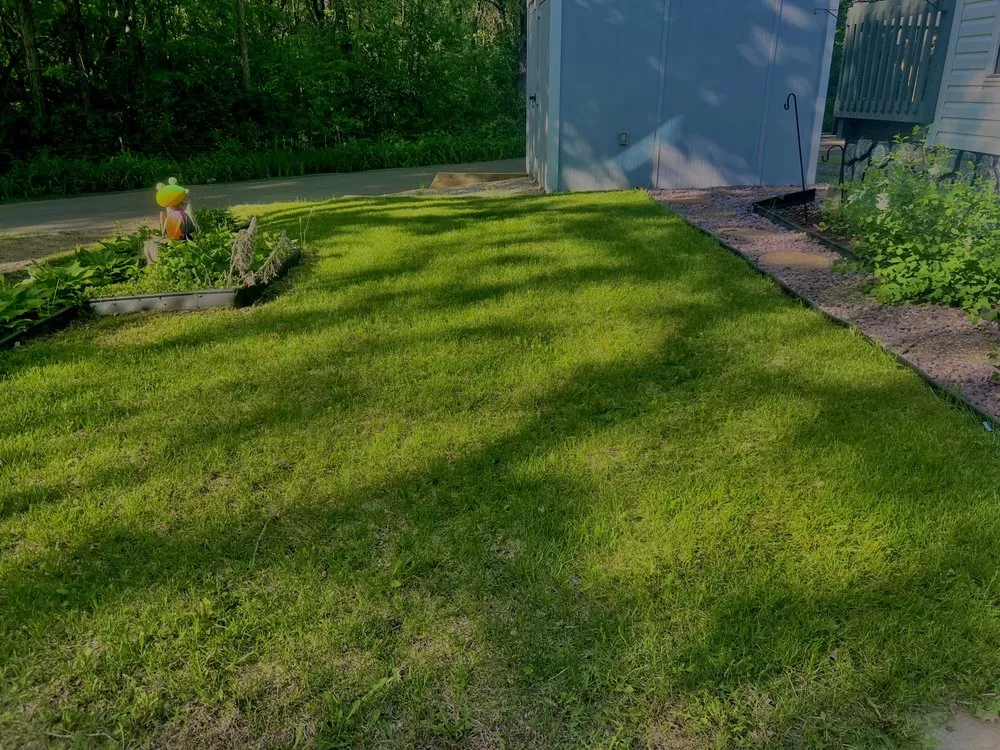 Custom lawn care service with custom design in Clear Lake, MN by Trusty Trimmers Lawn care