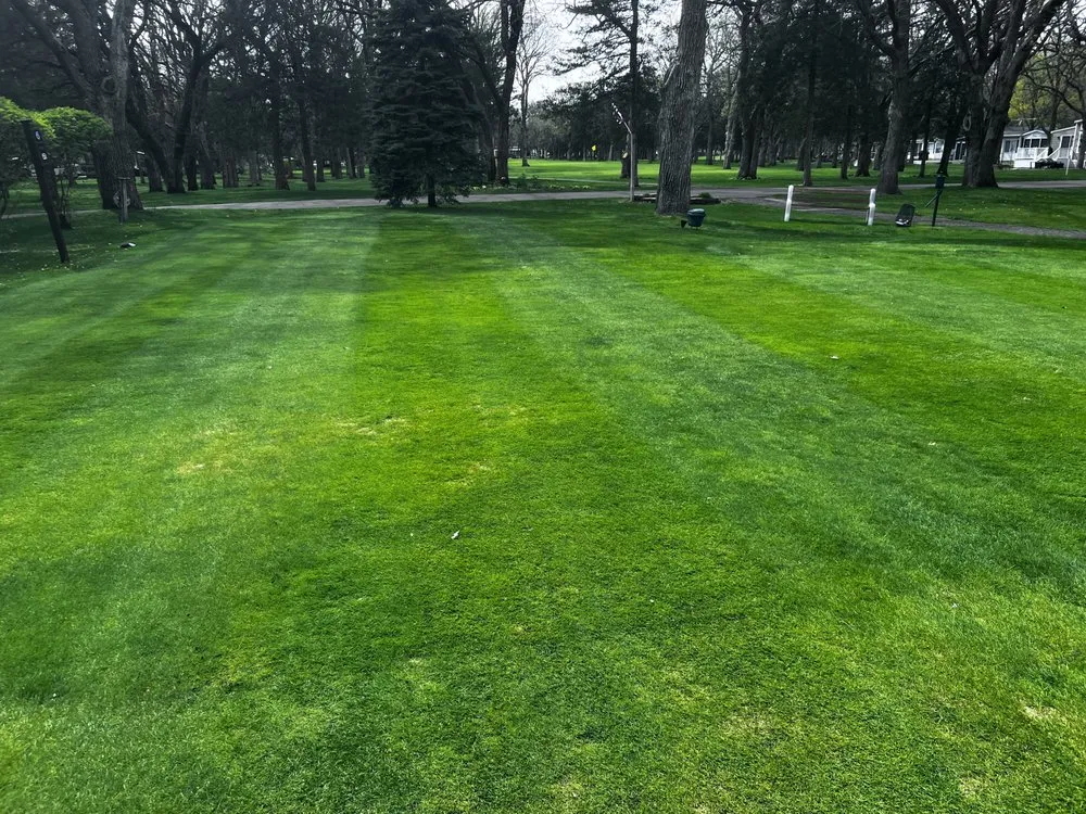 Local yard cleanup service experts serving Clear Lake, MN - Trusty Trimmers Lawn care