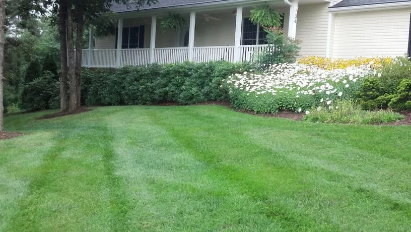 Top-rated landscape design with custom design in Marshall, NC by TrustyCare Lawn Care