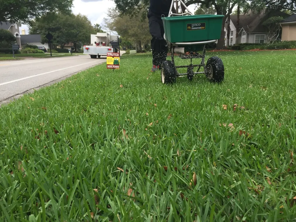 Top-rated lawn care service for outdoor upgrades in Jacksonville, FL by Trutco