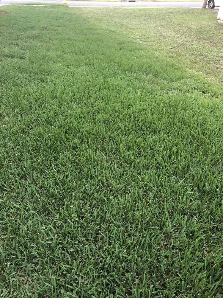 Expert garden landscaping experts serving Jacksonville, FL - Trutco