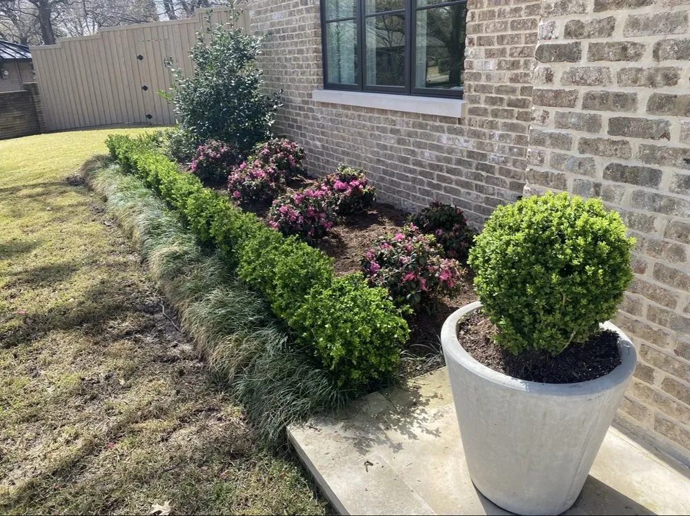 Affordable landscape installation in McKinney, TX by TruTex