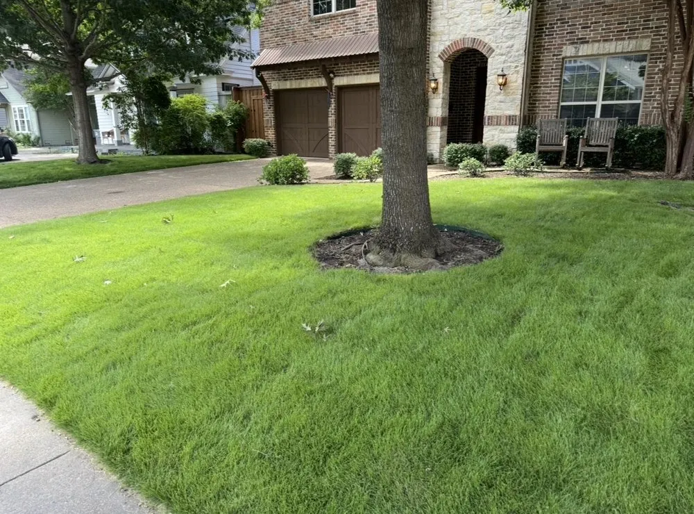Reliable lawn mowing service for outdoor upgrades across McKinney, TX - TruTex
