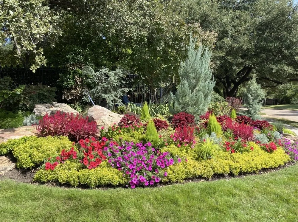 Professional residential landscaping in McKinney, TX - TruTex