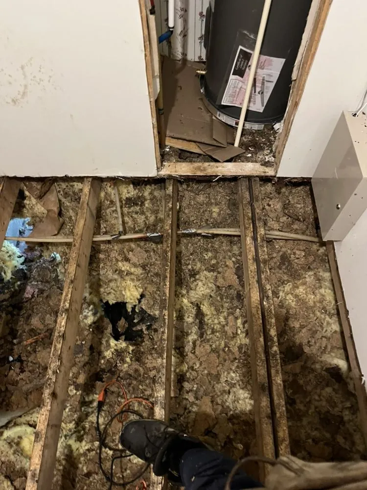 Professional lawn mowing service with custom design in Prosperity, SC by Truth Home Restorations And Rehab