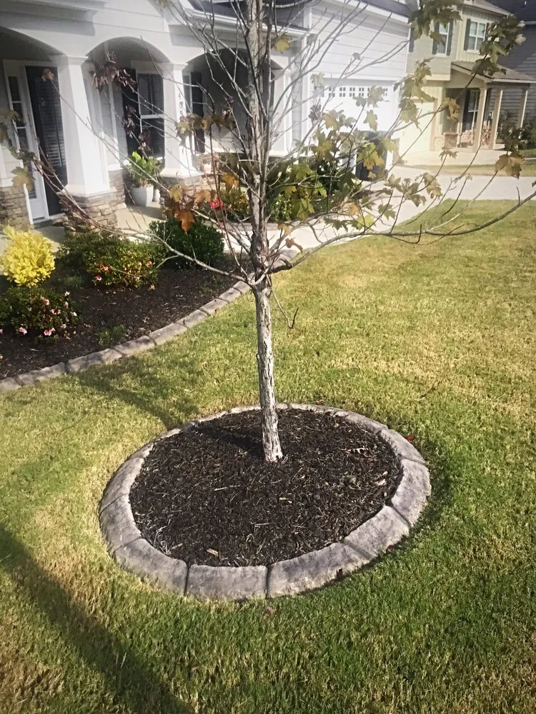 Reliable lawn mowing service in Grovetown, GA by TRUTURF Lawn Care