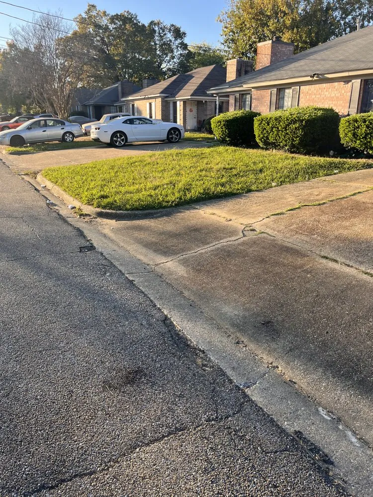 Top-rated outdoor landscaping in Montgomery, AL - Truu Lawn Service