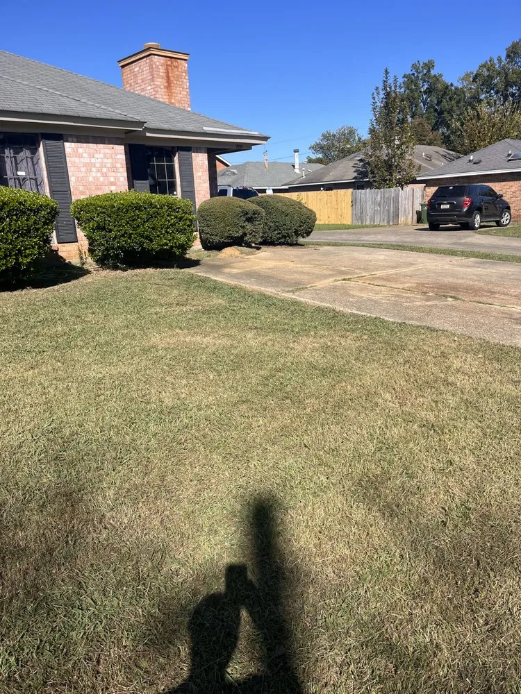 Custom garden landscaping in Montgomery, AL - Truu Lawn Service