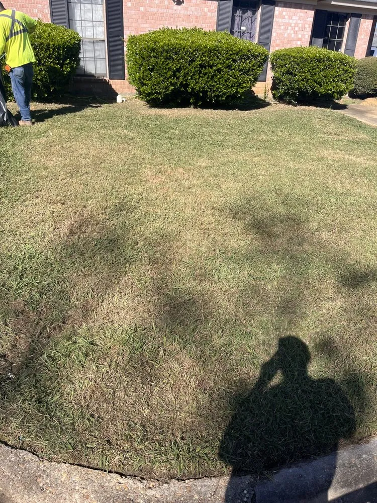Local landscaping services in Montgomery, AL by Truu Lawn Service