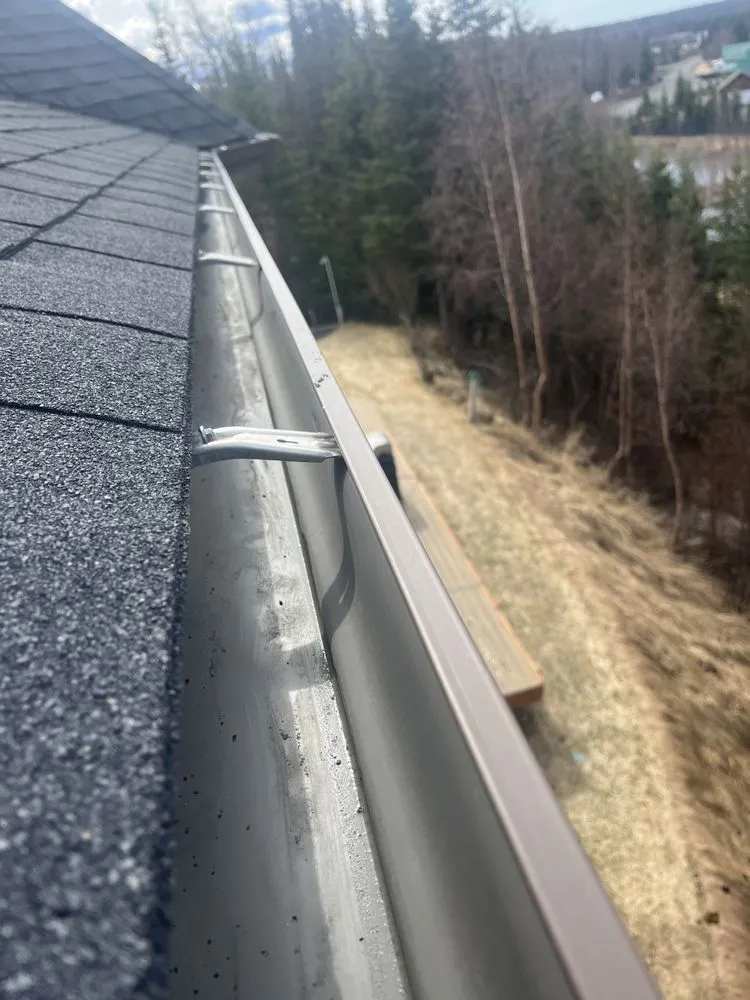 Local yard maintenance in Kenai, AK - Truuli Roof and Gutter Cleaning