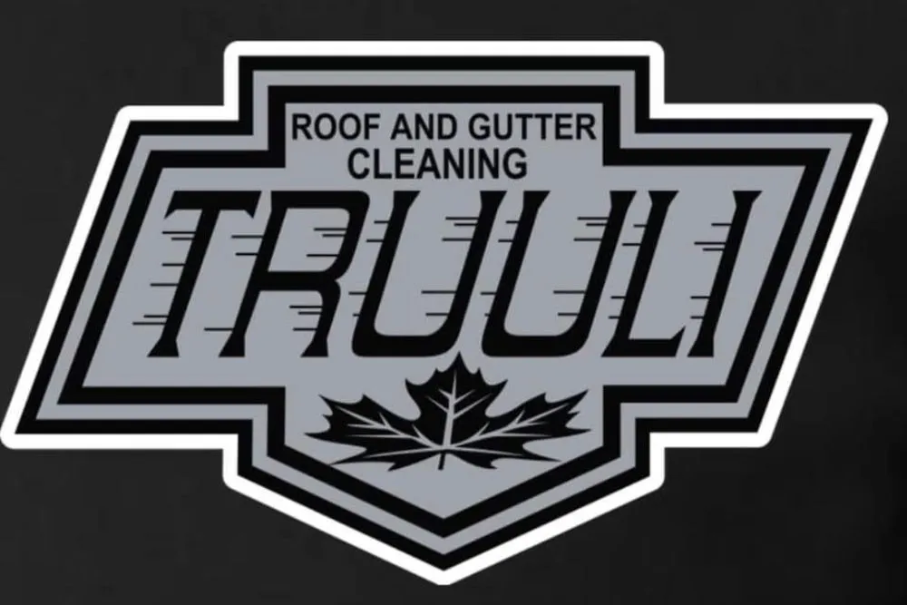 Top-rated yard maintenance experts serving Kenai, AK - Truuli Roof and Gutter Cleaning