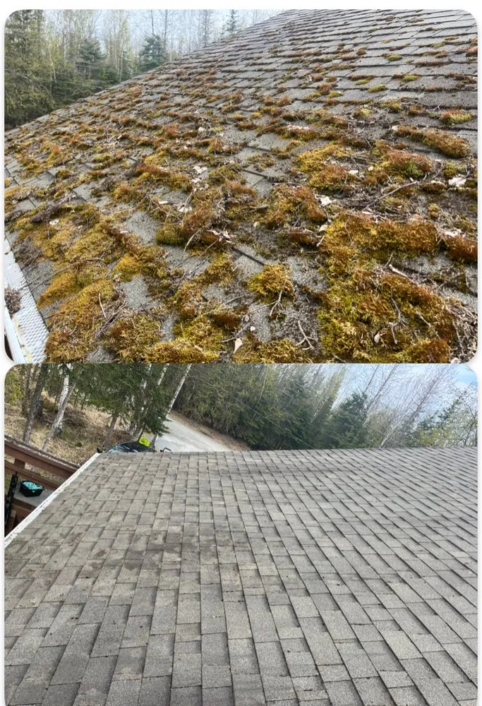 Top-rated outdoor landscaping in Kenai, AK - Truuli Roof and Gutter Cleaning