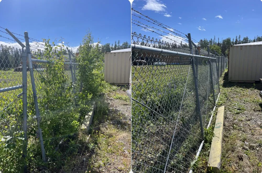 Professional landscape installation in Kenai, AK by Truuli Roof and Gutter Cleaning