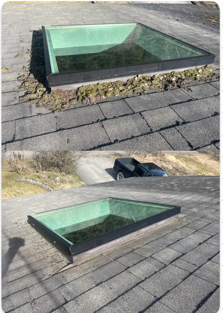 Trusted lawn mowing service for homes in Kenai, AK by Truuli Roof and Gutter Cleaning