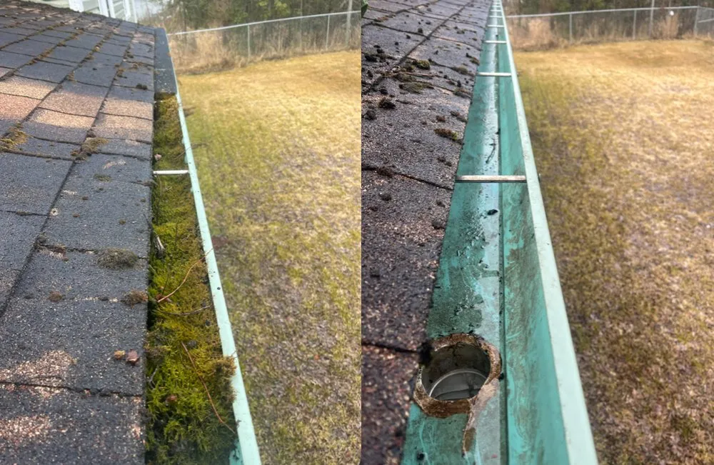 Local landscaping services experts serving Kenai, AK - Truuli Roof and Gutter Cleaning