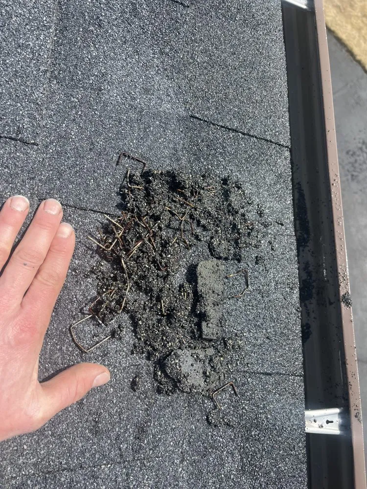 Reliable yard cleanup service for residential properties in Kenai, AK by Truuli Roof and Gutter Cleaning