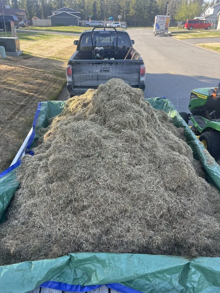 Professional landscaping services in Kenai, AK - Truuli Roof and Gutter Cleaning