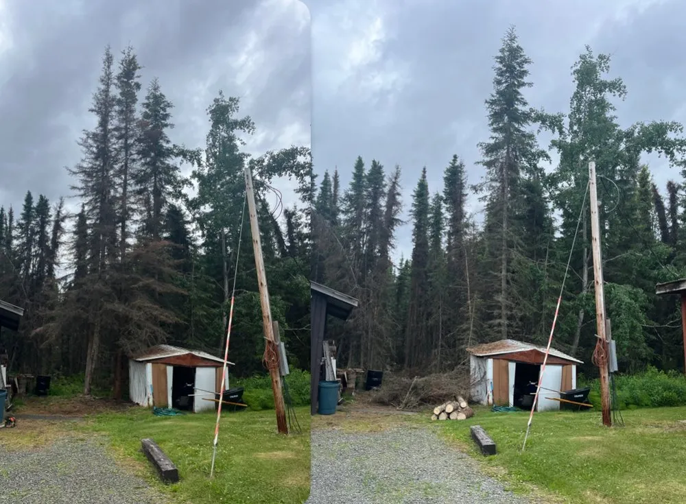 Expert lawn care service in Kenai, AK - Truuli Roof and Gutter Cleaning