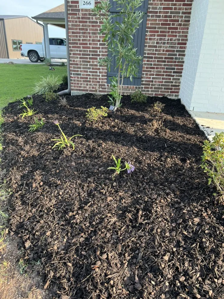 Affordable yard cleanup service in Kinder, LA by Trystan’s Odd Jobs and Pressure Washing