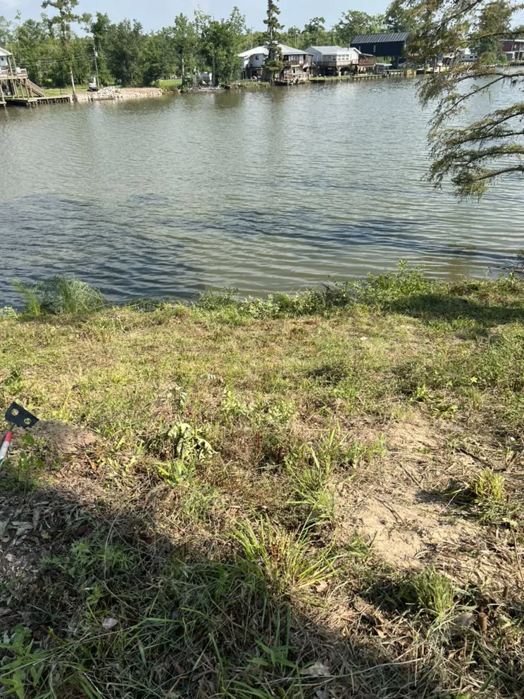 Reliable yard maintenance in Kinder, LA by Trystan’s Odd Jobs and Pressure Washing