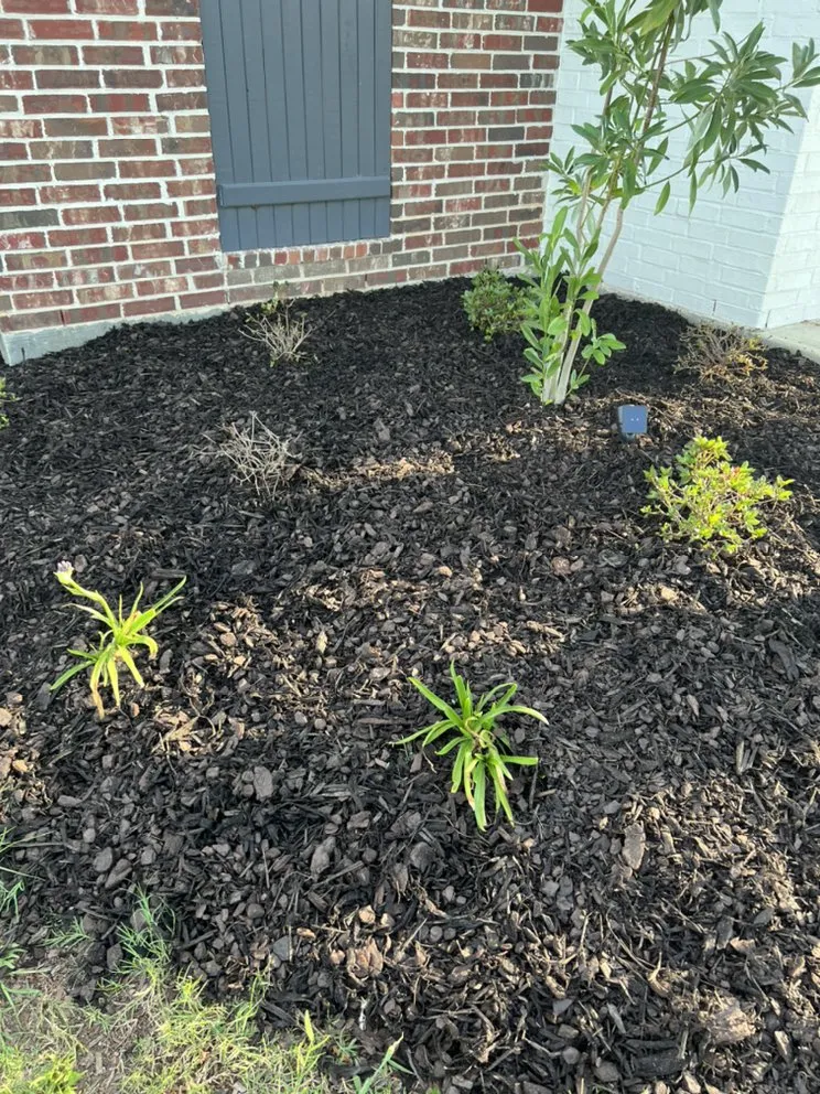 Affordable residential landscaping for homes across Kinder, LA - Trystan’s Odd Jobs and Pressure Washing