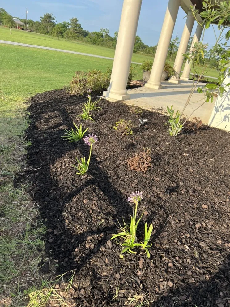 Trusted lawn care service experts serving Kinder, LA - Trystan’s Odd Jobs and Pressure Washing
