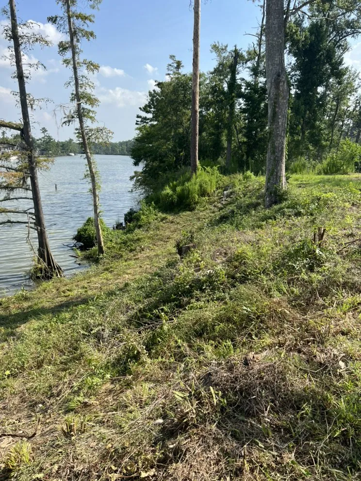 Local landscape design in Kinder, LA by Trystan’s Odd Jobs and Pressure Washing