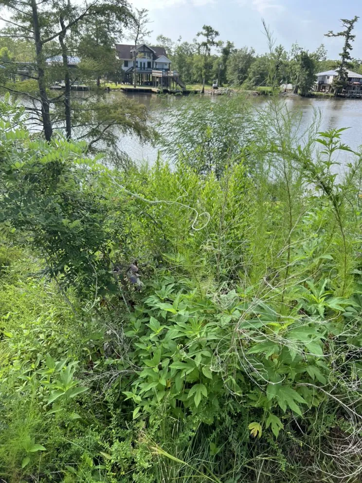 Affordable garden landscaping for year-round maintenance across Kinder, LA - Trystan’s Odd Jobs and Pressure Washing